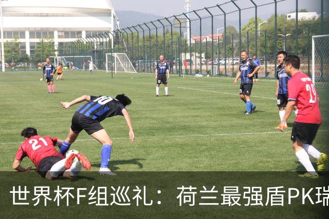 世界杯F组巡礼：荷兰最强盾PK瑞典犀利刀 日本短板明显